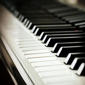 美人与性口牲恔配视频
