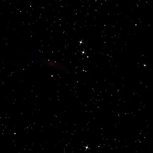 美人与性口牲恔配视频
